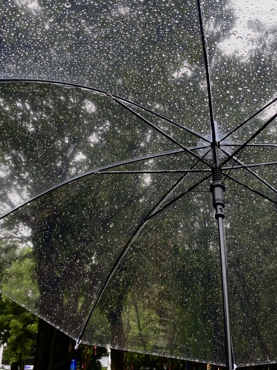 Codqwtrick's tweet image. 雨は止んだけど、傘はまだ手に握ってる。まるで、あなたを手放す方法がわからないみたい。