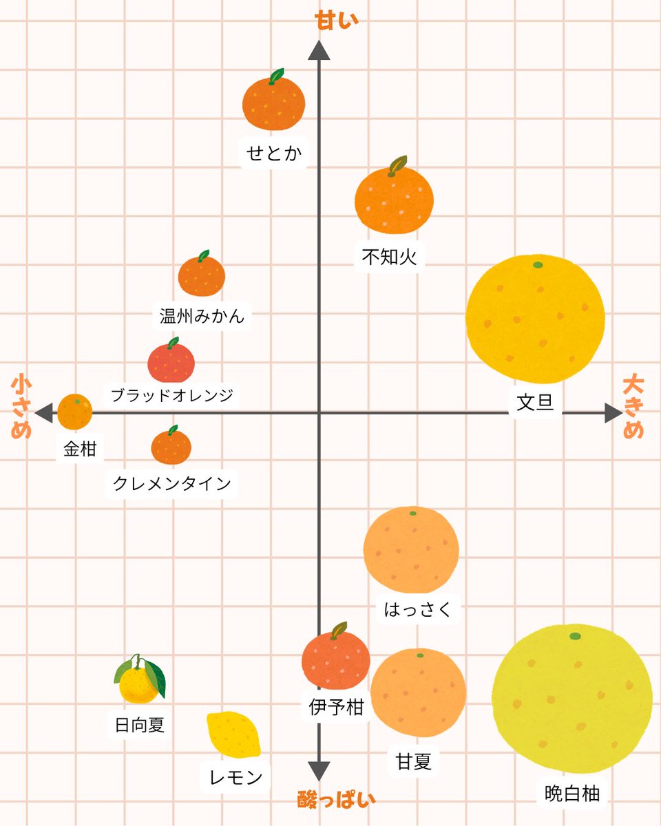 ショップチャンネル on X