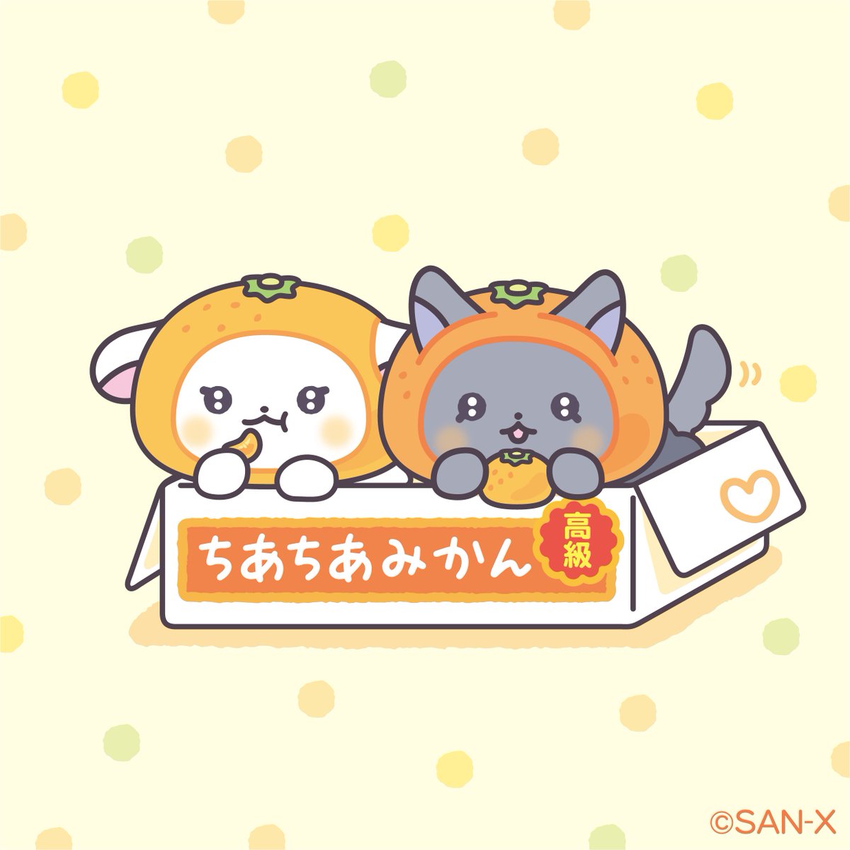 ちあちあラムズ【公式】 (@cheercheerlambs) / Highlights / X