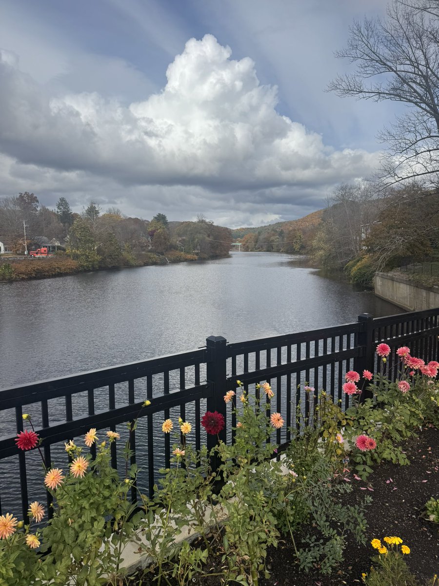 Bob Philion tweet media