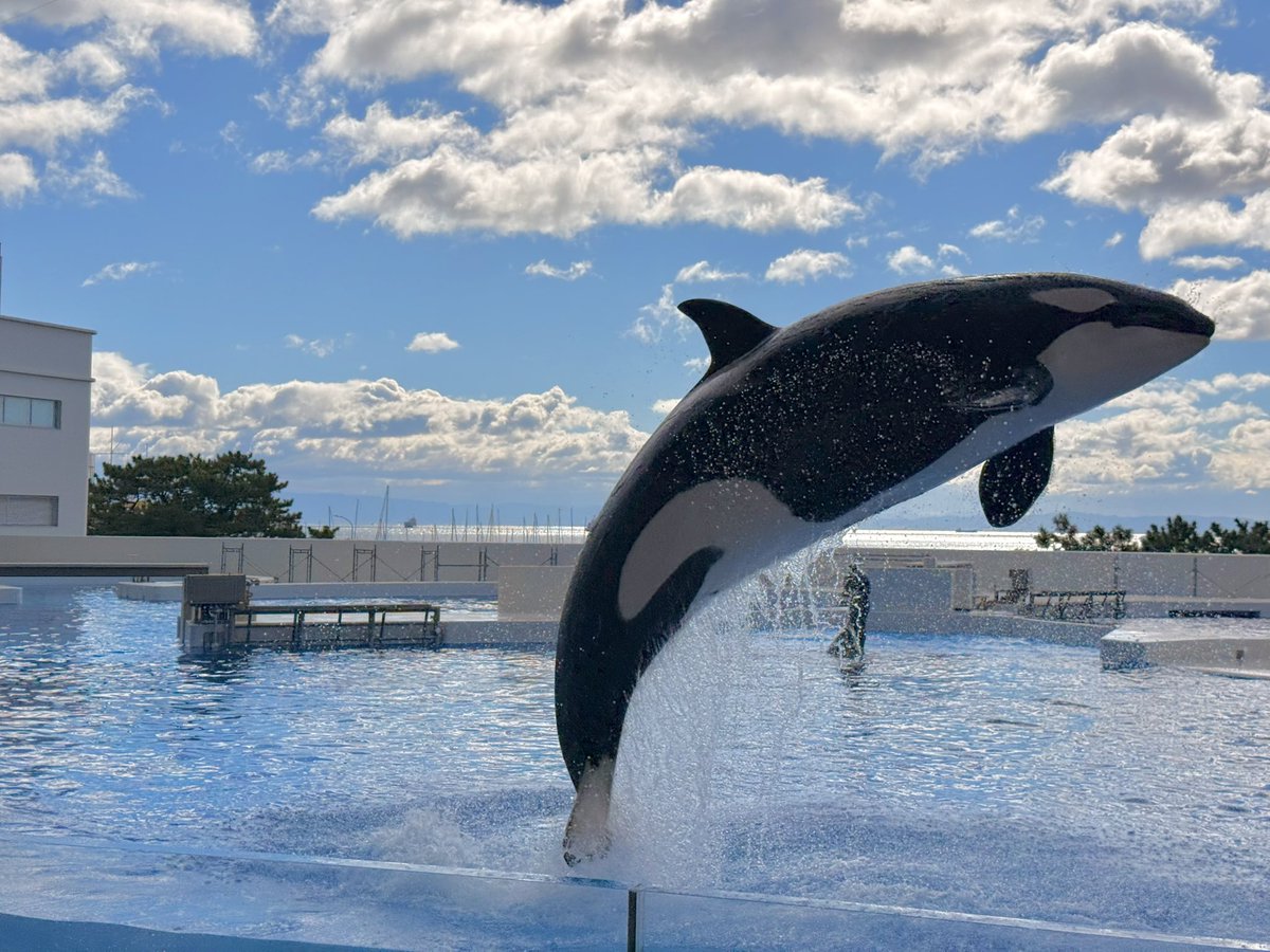 𝕊𝕒𝕥𝕠𝕤𝕙𝕚 𝕏 𓃠 on X