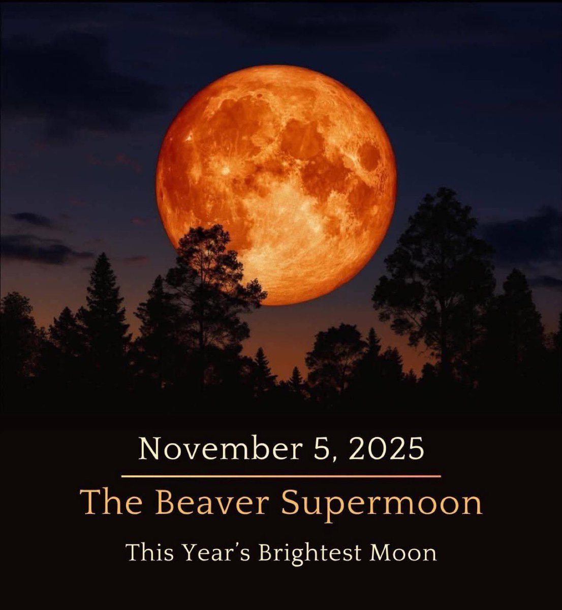 I'm looking forward to tomorrow, 11/3, but the day I'm most excited about is 11/5.