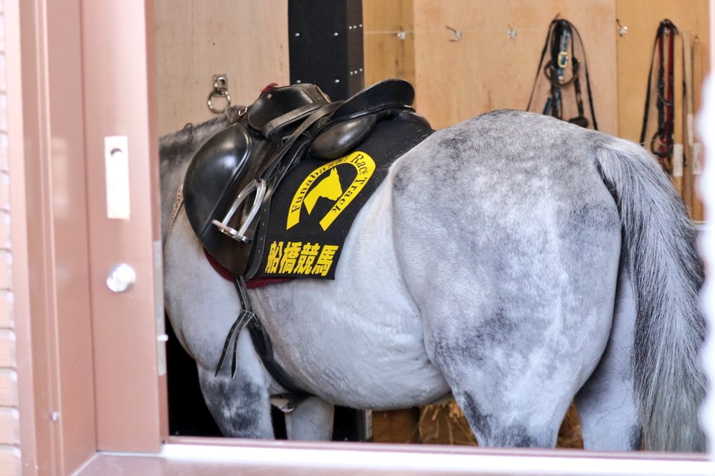 さちあんページ さち on X