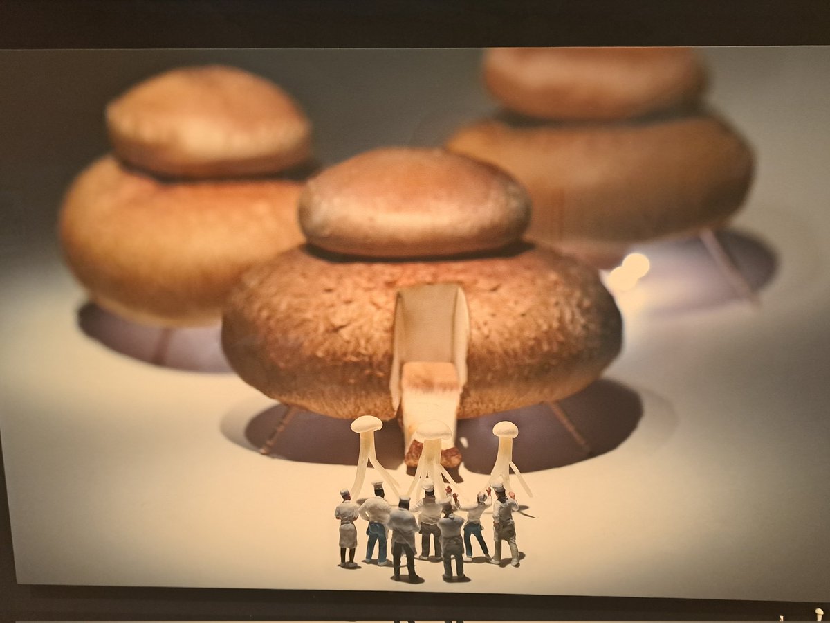 デカリョウ⭐︎ s-l1200.jpg