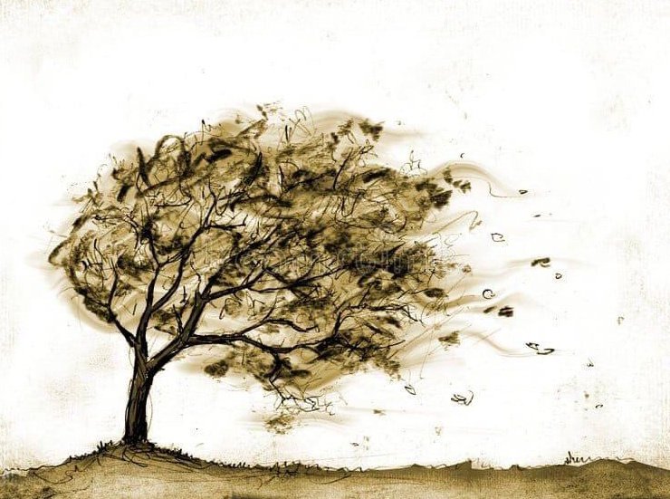 كُن في الحياةِ كغصنٍ يانعٍ 
 مهما انحنى لعصفِ الرِياح يعُود ليستقيم
 دُون أن ينكسِر 
 صباحٌ  باسِمٌ  وبدايَاتٌ  جدِيدَةٌ  وأَلفُ سلامٍ لأَرواحِكُم مِن كُلِّ شَيءٍ .
#صباح_الخير_والسعاده_للجميع