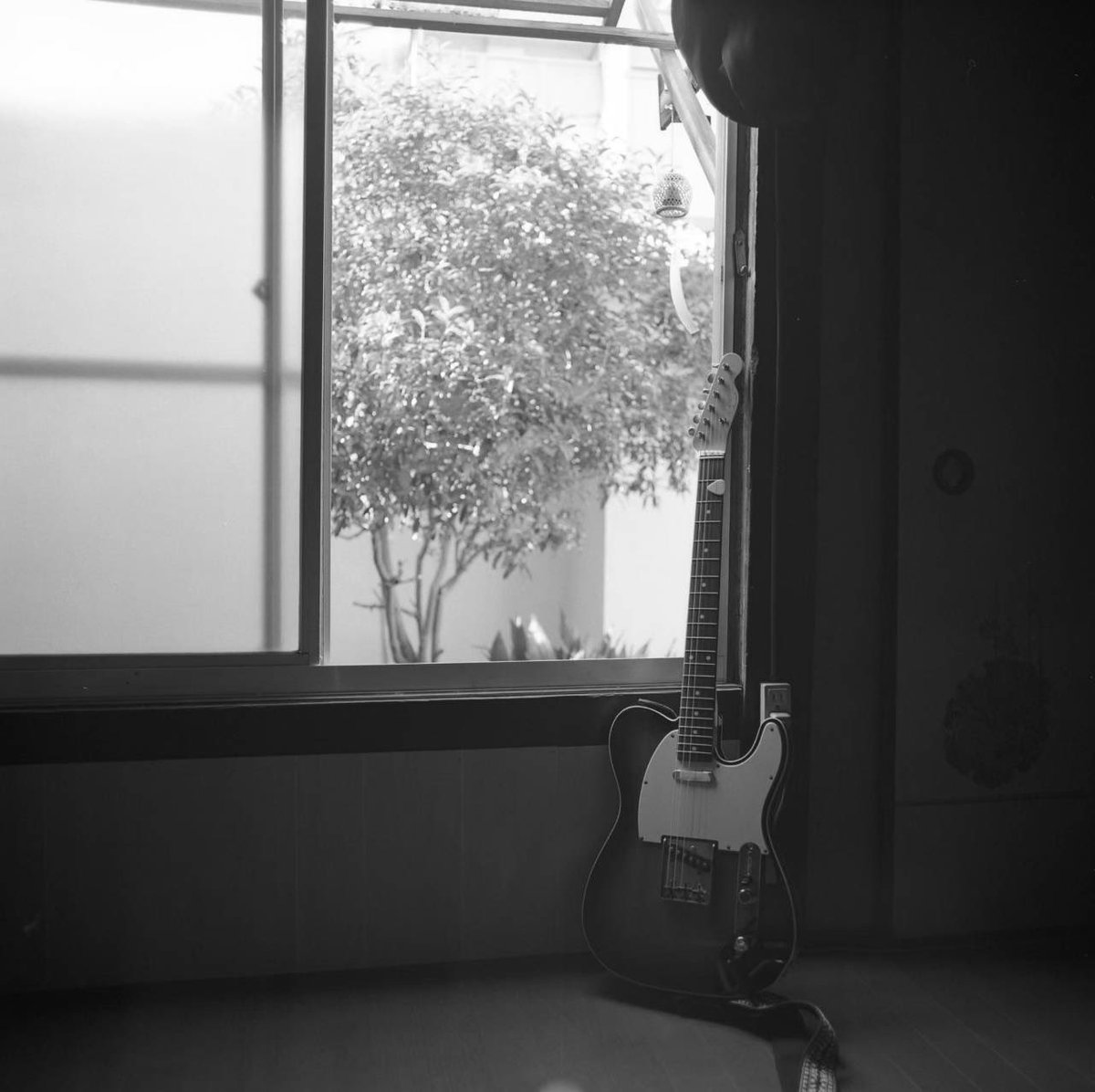 鹿男 (@SHIKAOTOKOw) / Posts / X