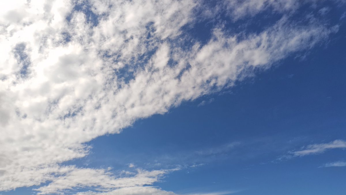 チョビ之助💉×8🦖🦕No.5287 on X