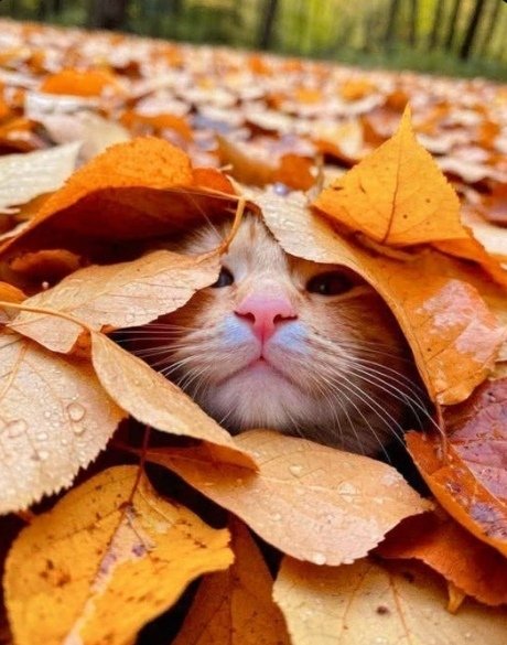 mehtap_gibi's tweet image. Günaydınn☕

Mutlu sabahlar🍂

#iyihaftalar