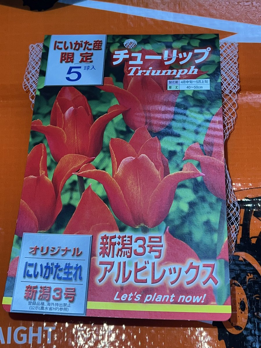 タッチのパパ on X