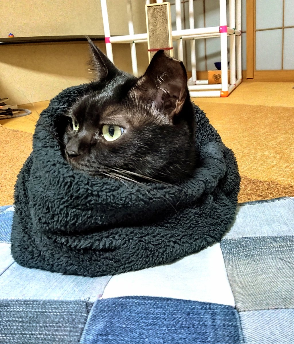 ねむる雲ページ ねむ on X