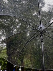 Jeremqwalta's tweet image. 