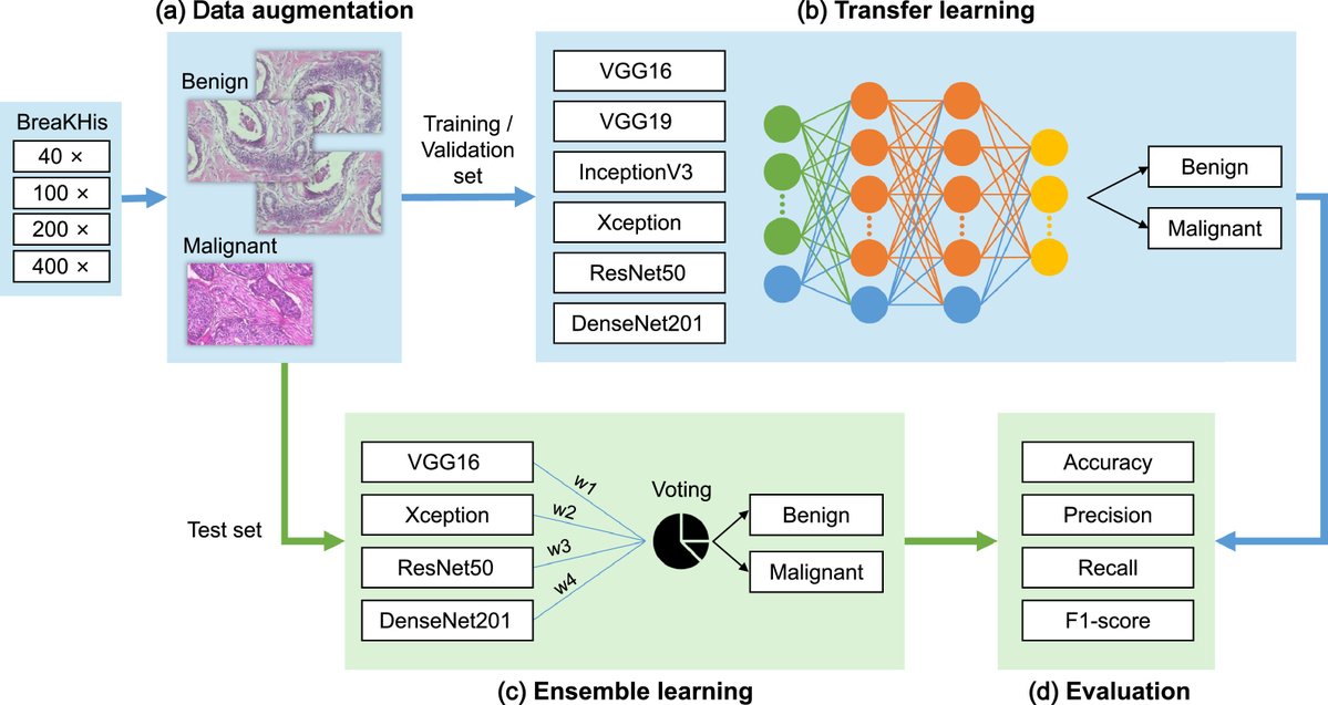 IntelligentMed8's tweet image. Keywords
Convolutional neural network， Transfer learning， Ensemble learning， Image classification， Histopathological image， Breast cancer