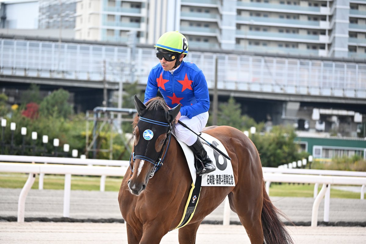 ウダさん@星映天下永遠の推し馬 on X