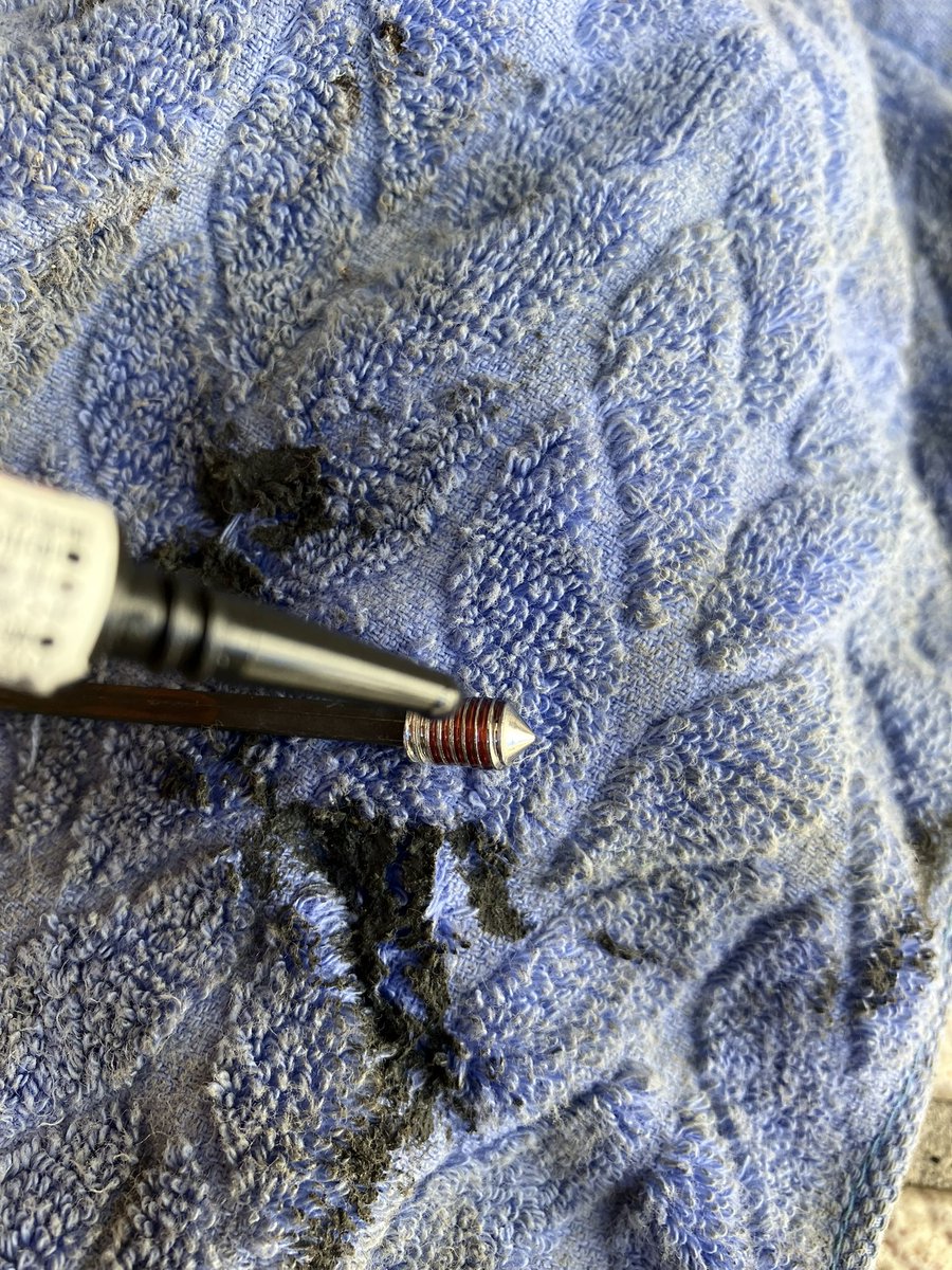 Stray dog (@fkQclQLFt0CiXGm) / Posts / X