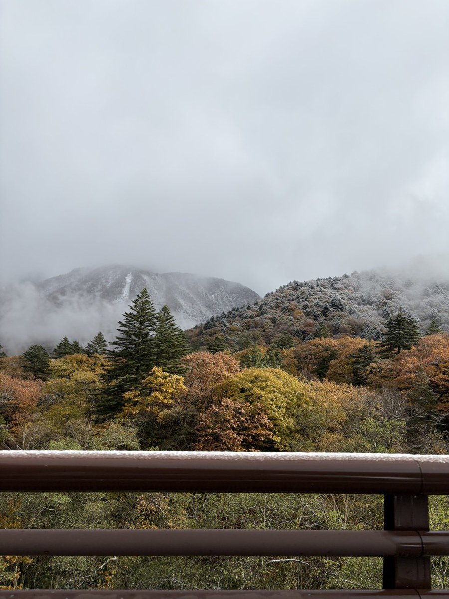 雪の降る朝の赤 K on X