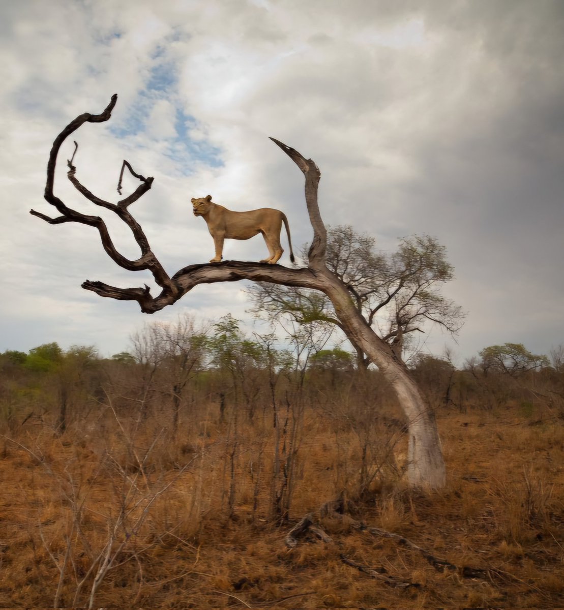 Οταν πεθάνω θέλω να με θάψουν οι φίλοι μου.
Δεν θα ειναι η πρώτη τους φορά.

Καλημέρα κόσμε και ντουνιά.