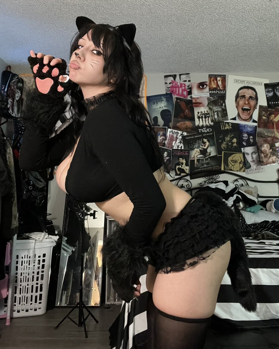 v0l4til3's tweet photo. meoww 🐾 https://t.co/svb2MEi1HH