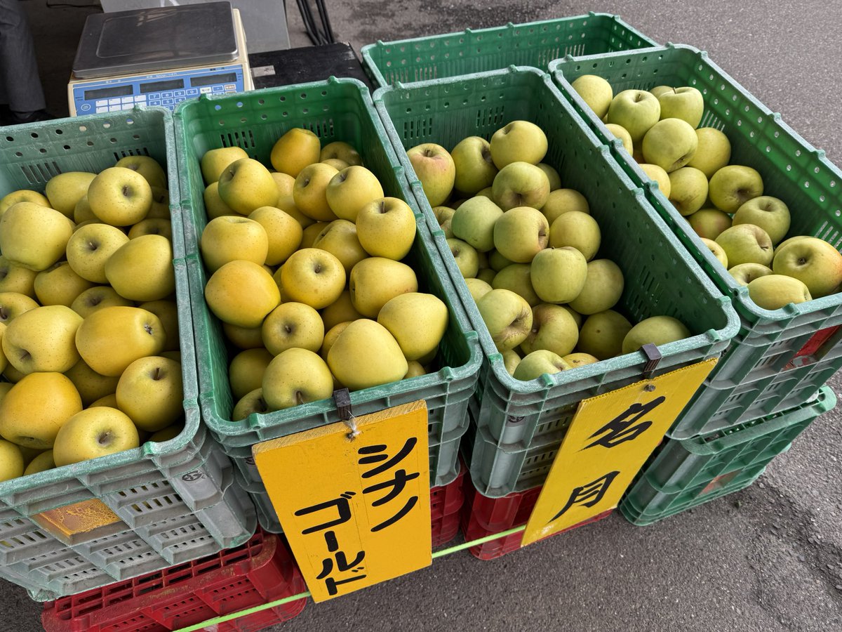 りんご りんごページ りんご. 様 りんご様 りんご様 りんご. 様 Kid's ZX/1