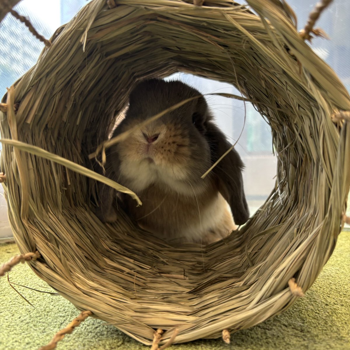 ☺︎ユピオン^o^です☺︎ ちおん on X