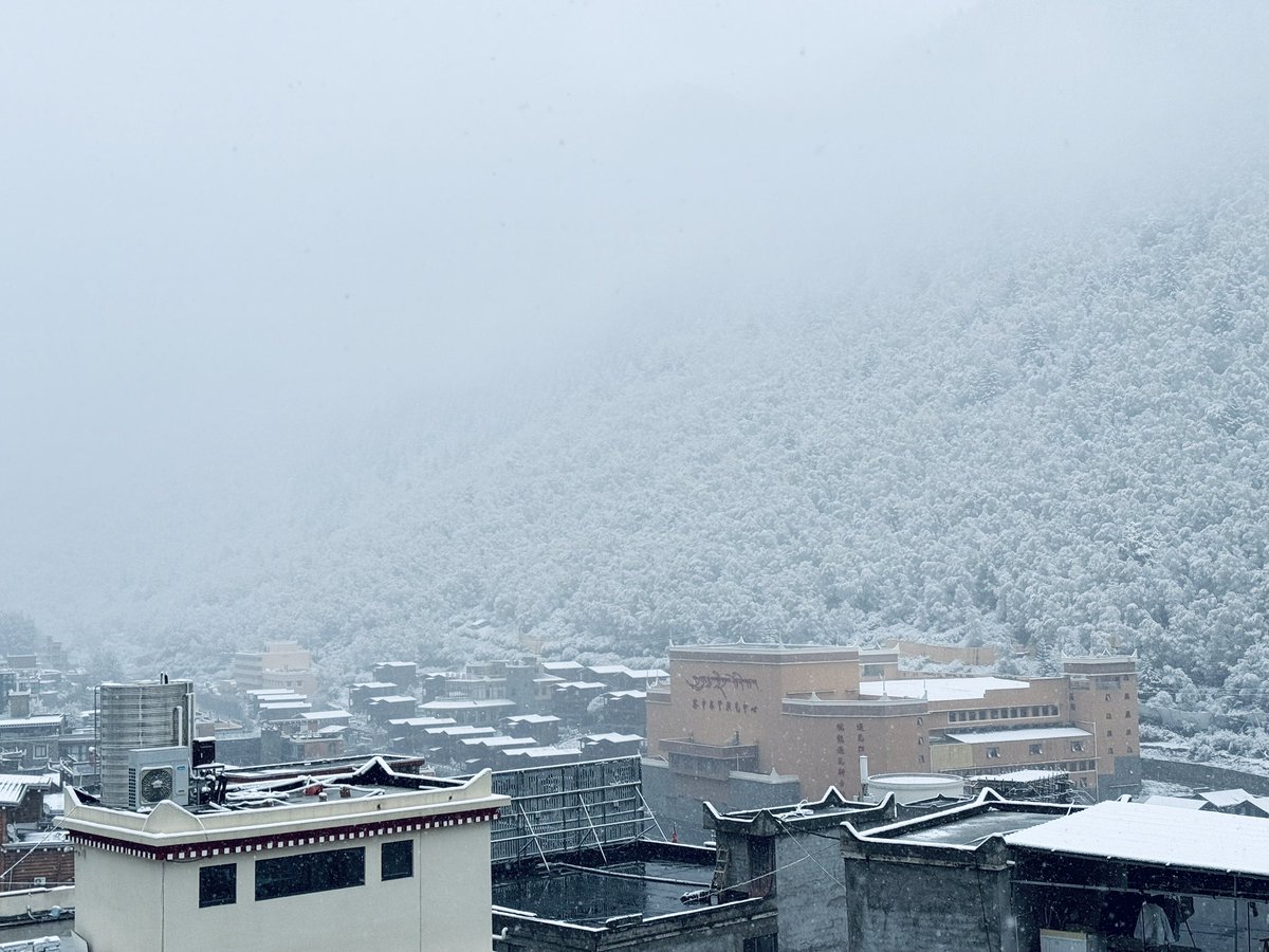weizhishu77's tweet image. 醒来已是大雪漫山。