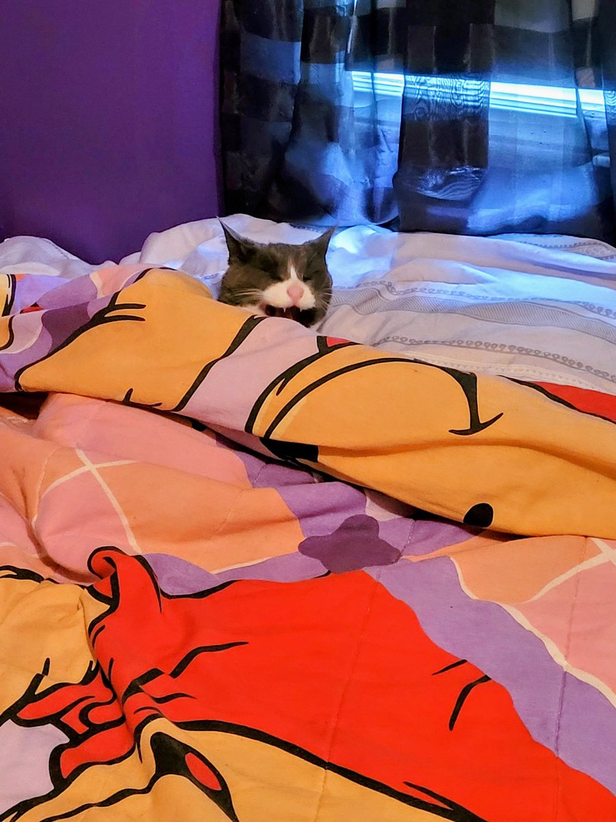 Time for bed. Goodnight