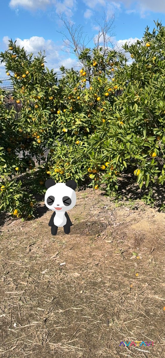 SORAさま♡③ JIMA🐍💎 on X