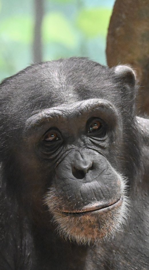 空🌈sora (@ku1127) / Posts / X