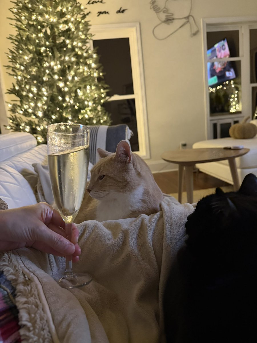 うめちゃん🇯🇵🇺🇸 (@kikilunanoah) / Posts / X