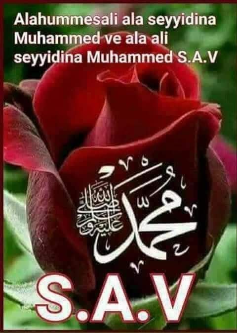 Bakara Sûresi: 286. Âyet
Rabbenâ lâ tü’âhıznâ in nesiynâ ev ahta’nâ
Rabbenâ ve lâ tahmil aleynâ ısran kemâ hameltehu alelleziyne min kablinâ Rabbenâ ve lâ tühammilnâ
mâ lâ tâkate lenâ bihî va’fü‘annâ vağfir lenâ,verhamnâ ente mevlânâ fansurnâ ‘alel kavmil kâfiriyn
#SelamVeDuaile