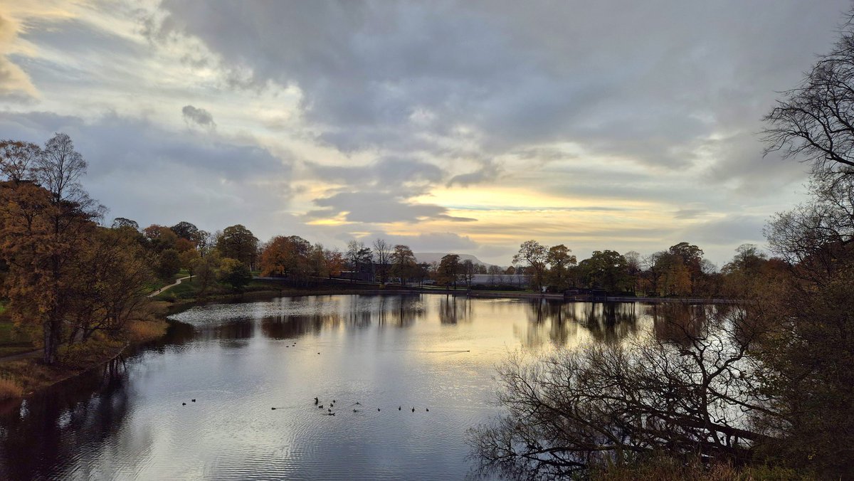 frasergj's tweet photo. Autumn colours around @StirUni Campus #Stirling this afternoon (2/11) #WeatherWatcherGraham @bbcweather @BBCAimsir @BBCScotWeather https://t.co/cQvUHyFJJj