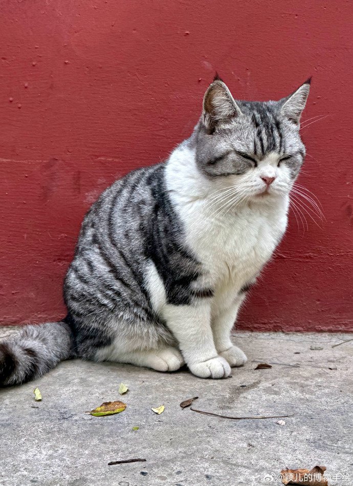 さくらこ (@kurnzaszx) / Posts / X