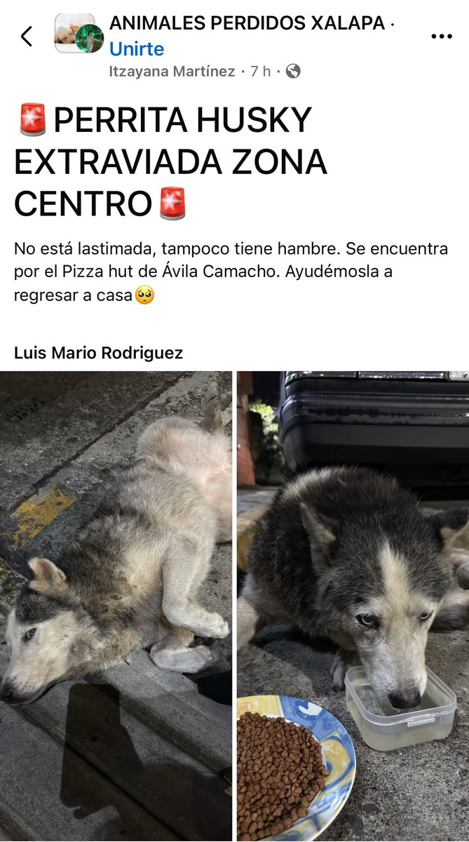 #Xalapa RT🐶
<a href="/mayteponm/">Mayte P.</a> <a href="/mageba04/">Gina alarcon</a> <a href="/Corintiacruz/">Corintia Cruz Oregón</a> <a href="/VialidadXalapa/">Vialidad Xalapa 🚦 VX 🌎</a> <a href="/AbelMucino/">Abel Muciño</a> <a href="/tierraverde1943/">ℓια ₊˚.༄ *ﾟ🌱</a> <a href="/pilykuera/">Pily Peregrina</a> <a href="/CECILLIA36/">CECILIA MENDEZ</a> <a href="/sara_juarez/">saraliz</a> <a href="/Ydlan/">Naldy Patricia</a> <a href="/fherciencias/">Soy Fher!</a> <a href="/camellinlove/">Porque soy xalapeño</a> <a href="/ArrezEdda/">Edda Arrez</a> <a href="/PopColorsXal/">PopCX</a> <a href="/RoxanaAAT/">Feto de PicaFresa🍓</a> <a href="/penelopemoncayo/">Penélope Moncayo.</a> <a href="/Zapatito_Azul/">Yuria Eldia Reyes</a> <a href="/sandysiux/">Sandy Colunga</a> <a href="/rociosaiz/">Rocio Saiz</a> <a href="/Pechmed/">Peter Tweet</a> <a href="/marinavera100/">Marina Vera</a>