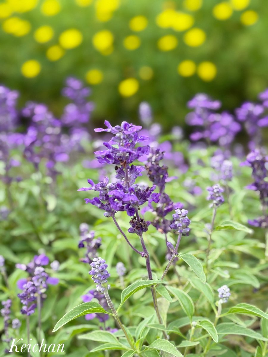 けいちゃん (@k1222_keichan) / Posts / X