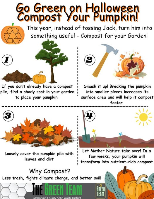 CompostWeek_AU's tweet image. Compost your pumpkin after Halloween