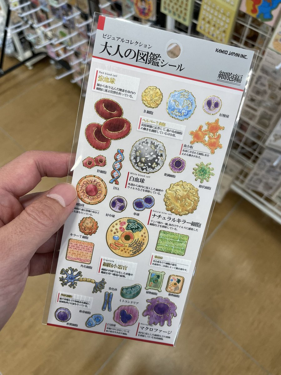 yakuzaishi1222's tweet image. ボンボンドロップシールが売り切れで探し回っていたら、これに出会った。

こんなん誰が買うんやw