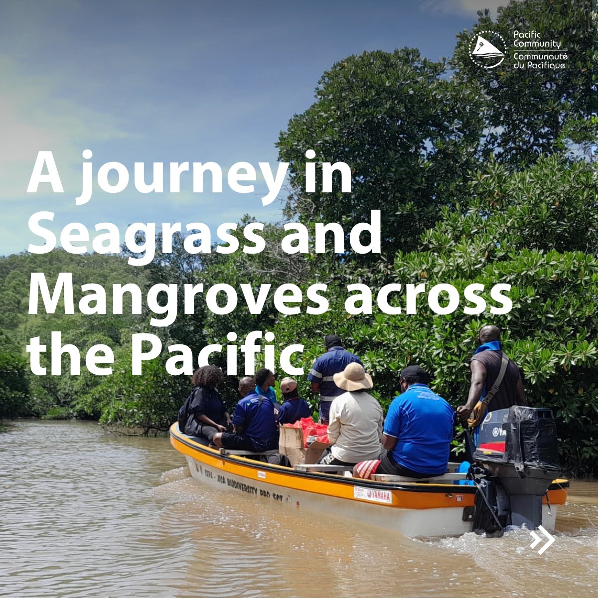 Pacific Community tweet media