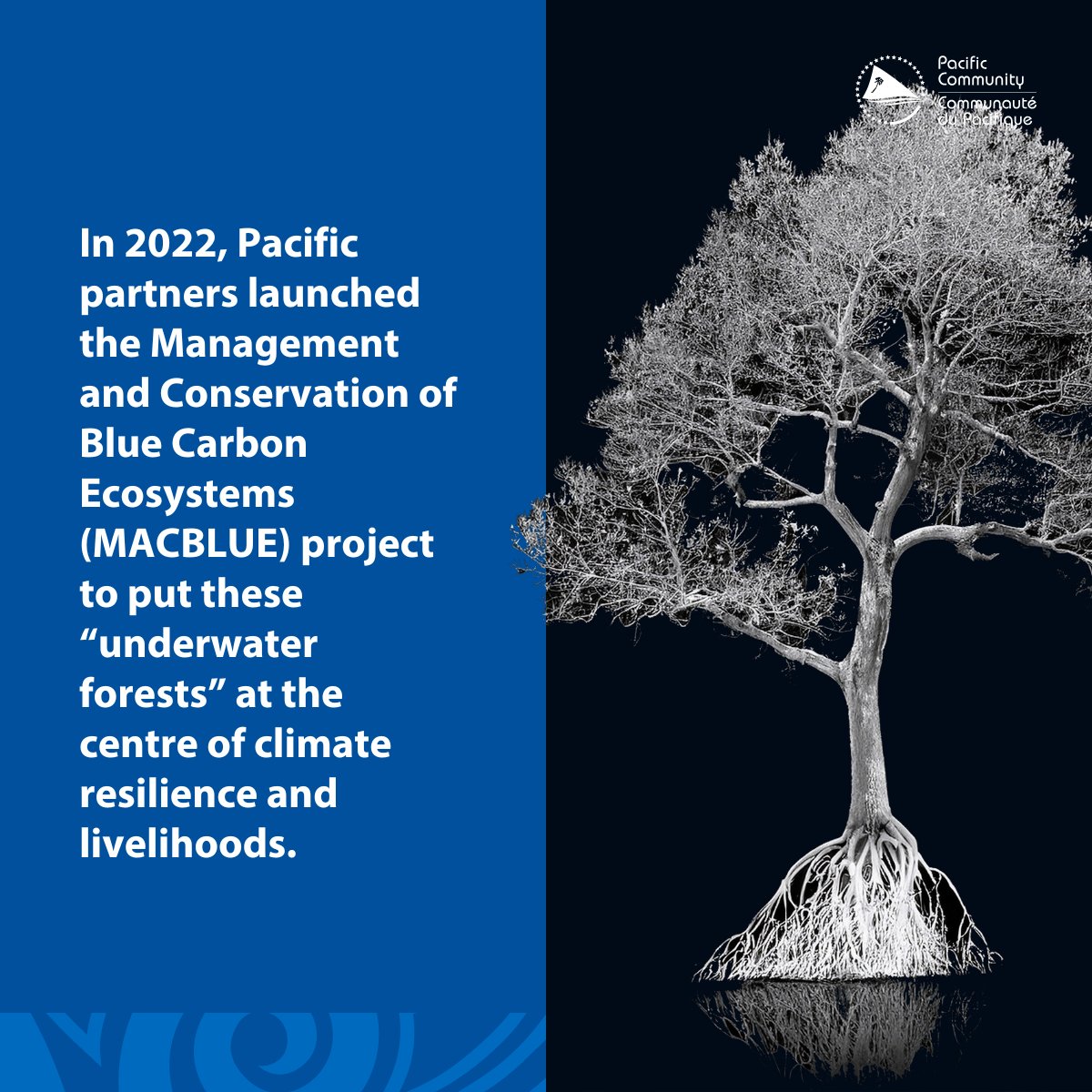 Pacific Community tweet media