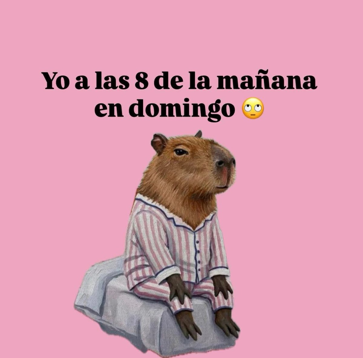 Y así mi día 🥺