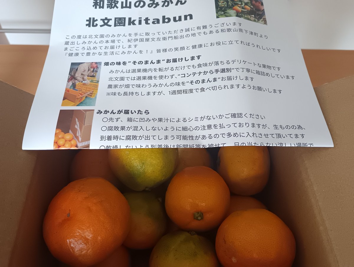 Ⓜ️a / まー 🤾🏻🏌🏻🏟️ on X