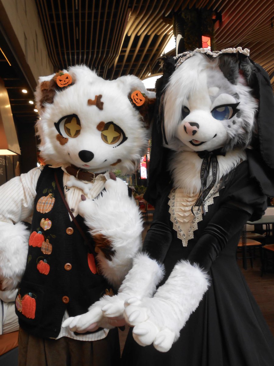 和<a href="/WaldorfRinn/">Rinn. 酃子</a> ，这张ccd拍得特别有氛围感。
📷：晶格
#fursuit