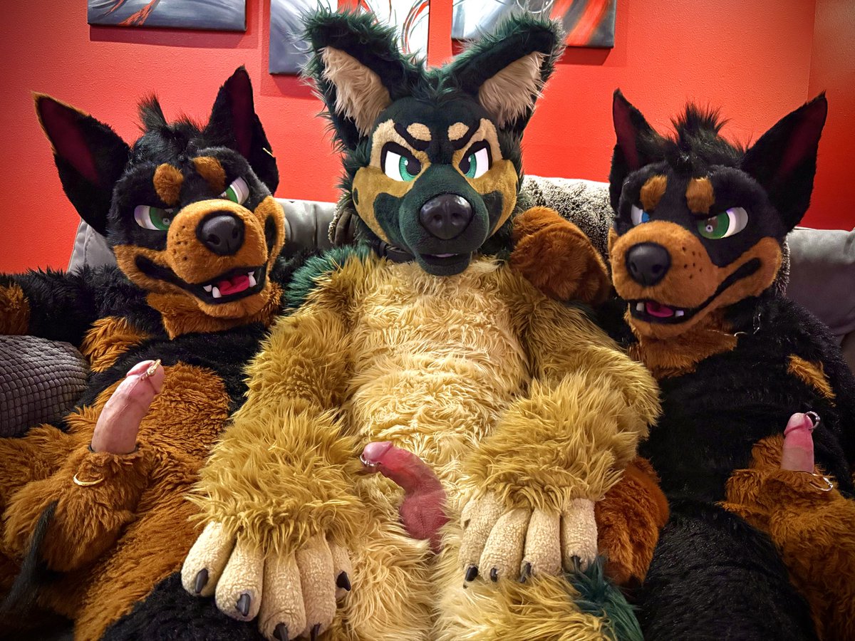 No words, just grrs 🔜FWA, Furwood, K9Campout tweet media