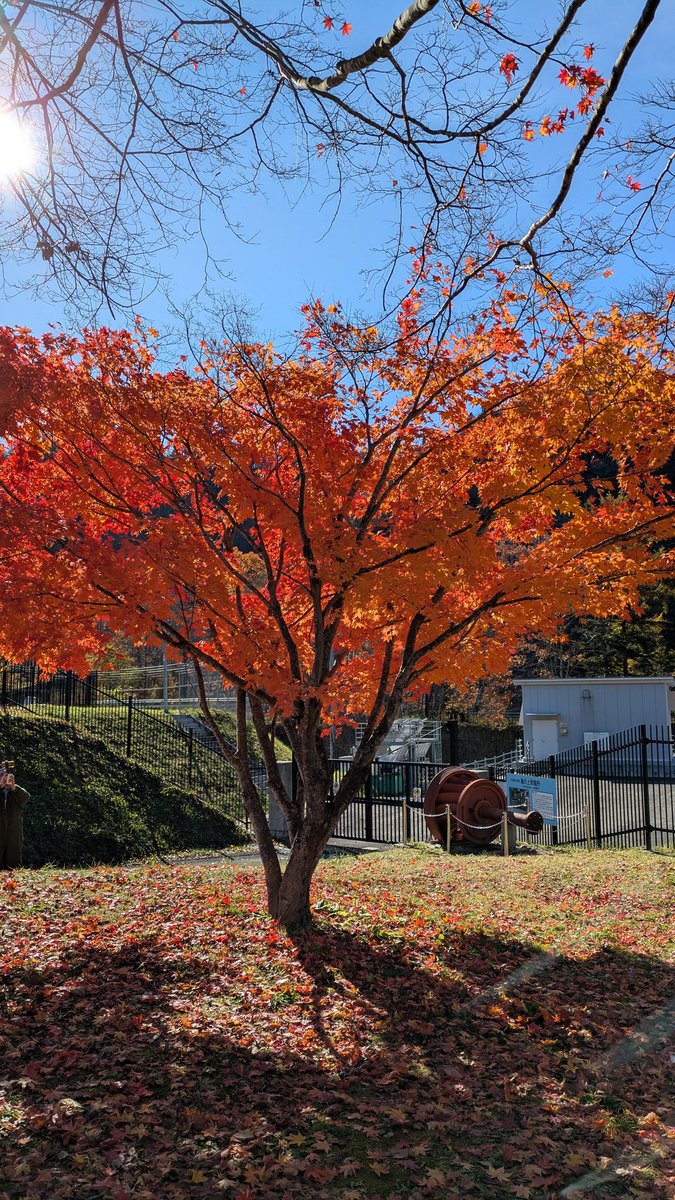 いちご ⑩✖︎2 ニューエラ（NEW ERA）（メンズ、レディース）帽子 キャップ