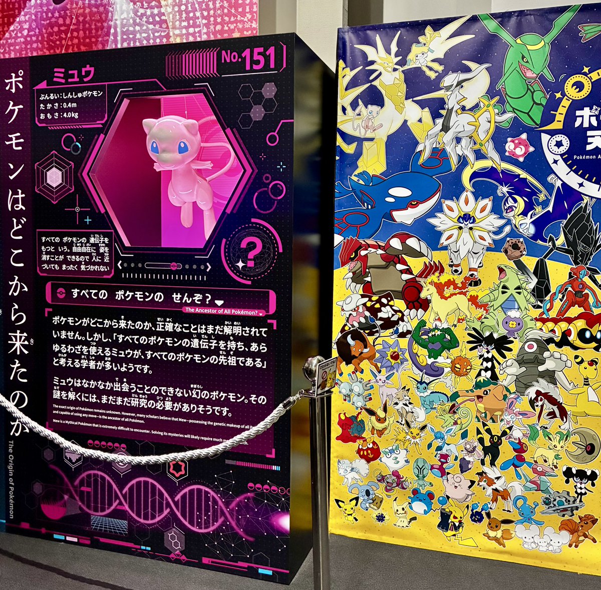 PSA9 ポケモンセンター shitajiki 下敷き オメガルビー PSA9 ポケモン