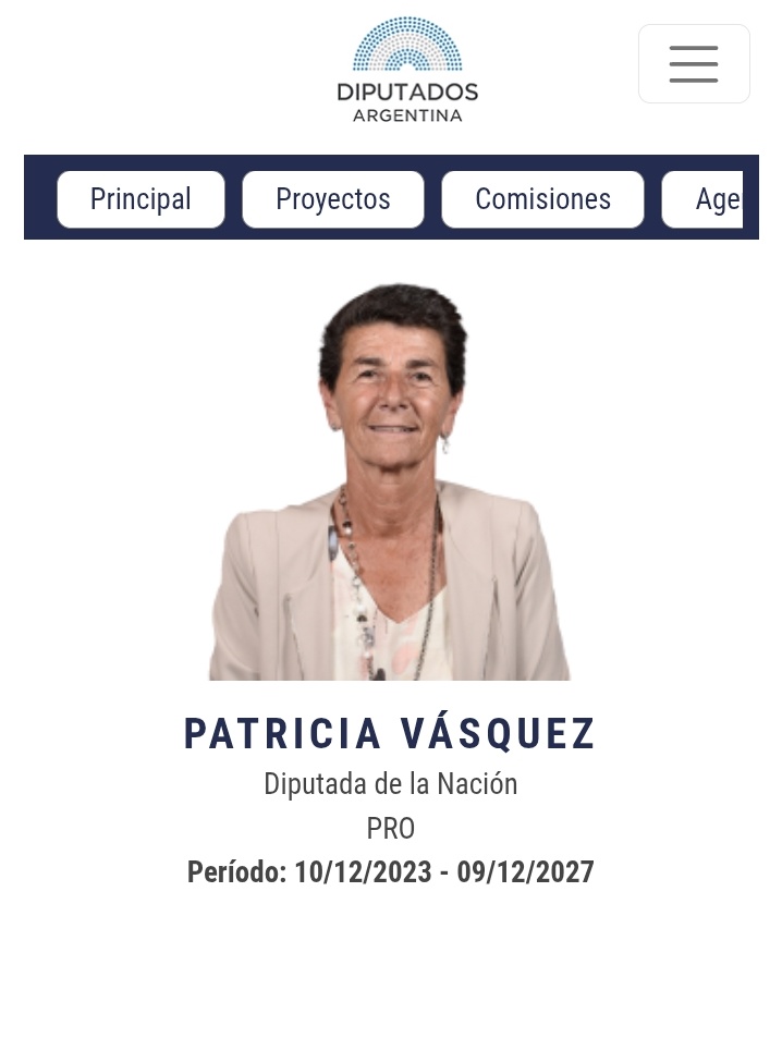 ojovisor6666's tweet image. Corrección no es diputada por LLA, es diputada x el @proargentina desde el 2023, sino que devuelva la banca !! Votamos en el pro en 2023 respeten nuestro voto @mauriciomacri  @PatoVasquezOk
