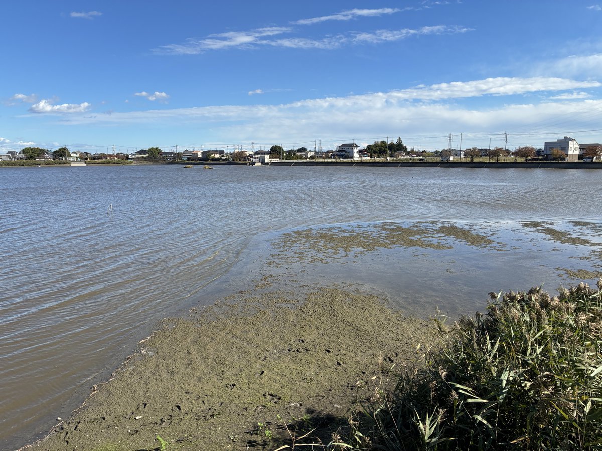オオハシさんおかえり👏
今年も来てくれて嬉しいわ✨
ジロネン7が再結成されたと聞いたけど、とりあえず1カ所に6羽いた