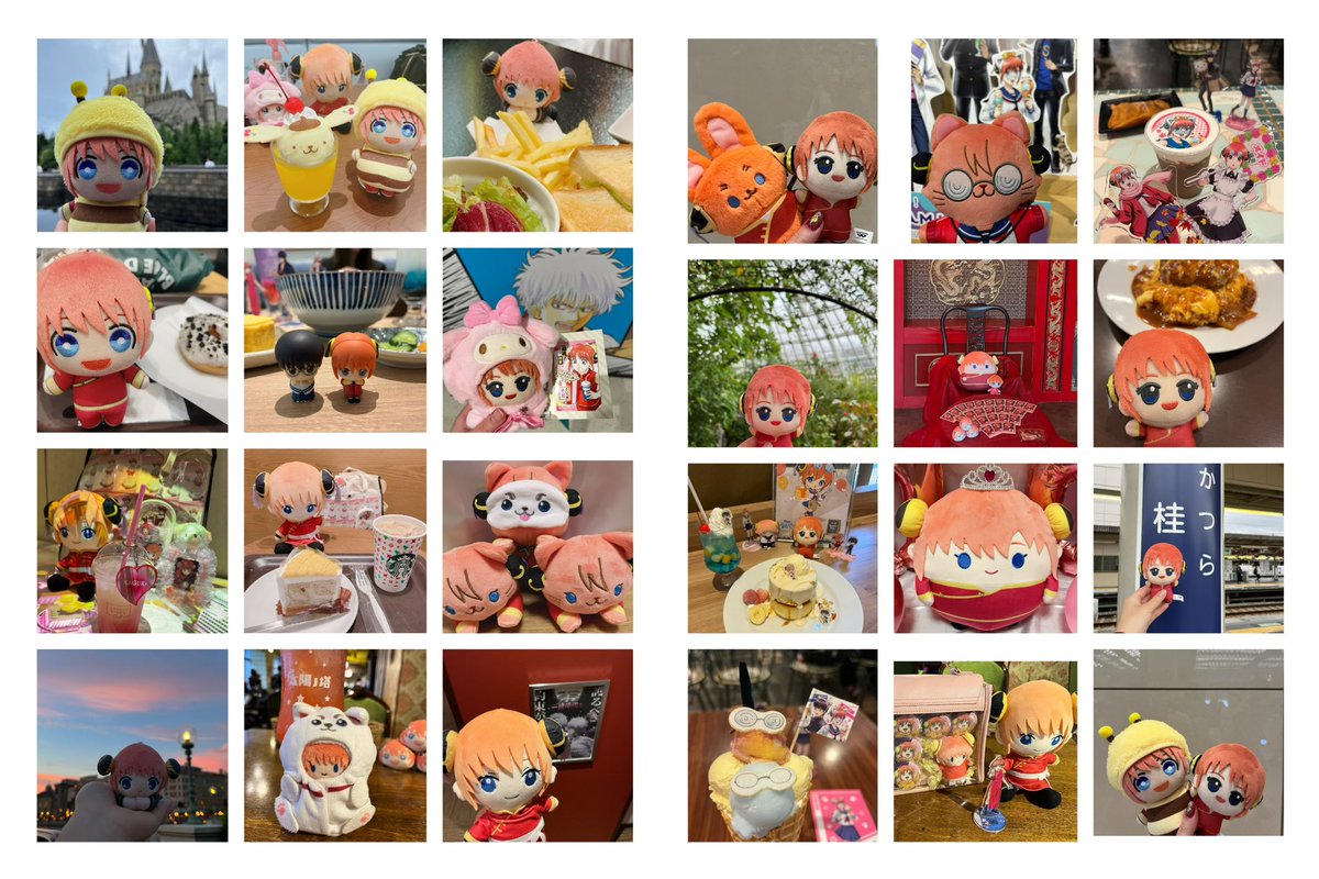葵 tweet media