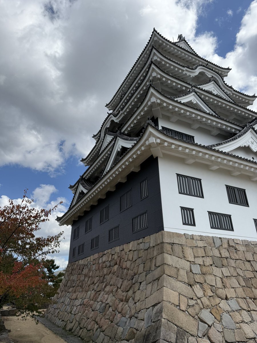 🐡MITO／ミト🐡 on X