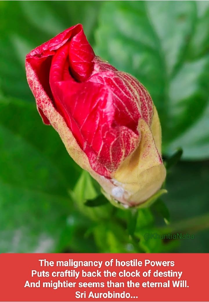The malignancy of hostile Powers
Puts craftily back the clock of destiny
And mightier seems than the eternal Will.

Sri Aurobindo...
Savitri - II

#SriAurobindo
#TheMother
#Eternal