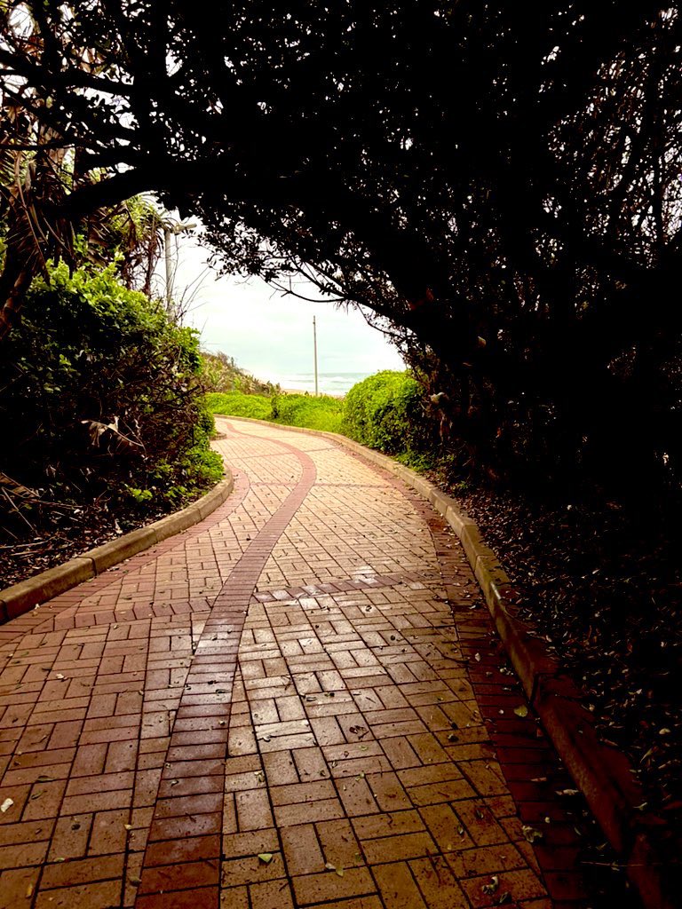 Tyronne Nel tweet media