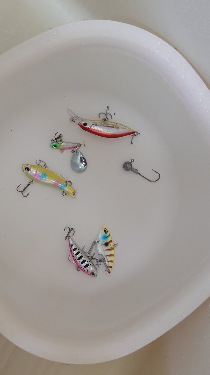 千本ドリィ (@VrCo8GsplDWC0wy) / Posts / X